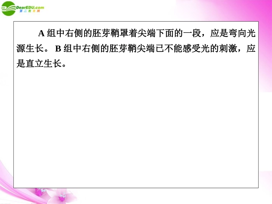 【考前7天每天必看】《临门一脚》2011届高考生物三轮考前重点专题突破-专题一植物的激素调节_第3页
