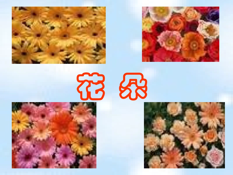 《花朵》课件3_第2页
