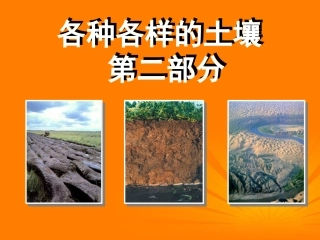 浙江省温州市平阳县腾蛟一中八年级科学下册-《3.2各种各样的土壤》课件四-浙教版