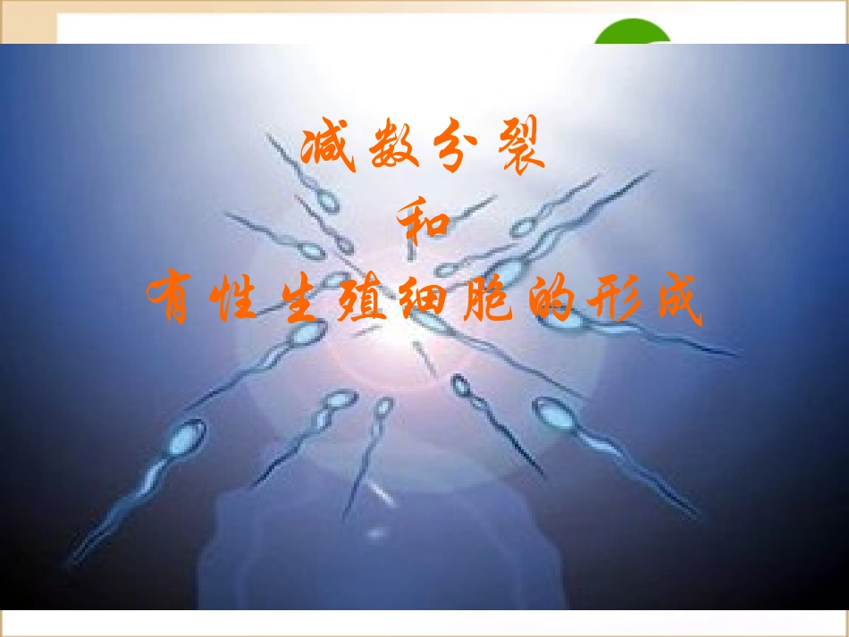 高一生物：第二章《减数分裂和有性生殖》课件(苏教版必修2)_第1页