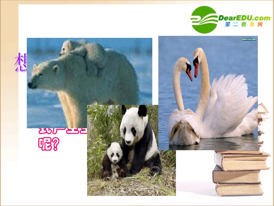 高一生物：第二章《减数分裂和有性生殖》课件(苏教版必修2)_第2页