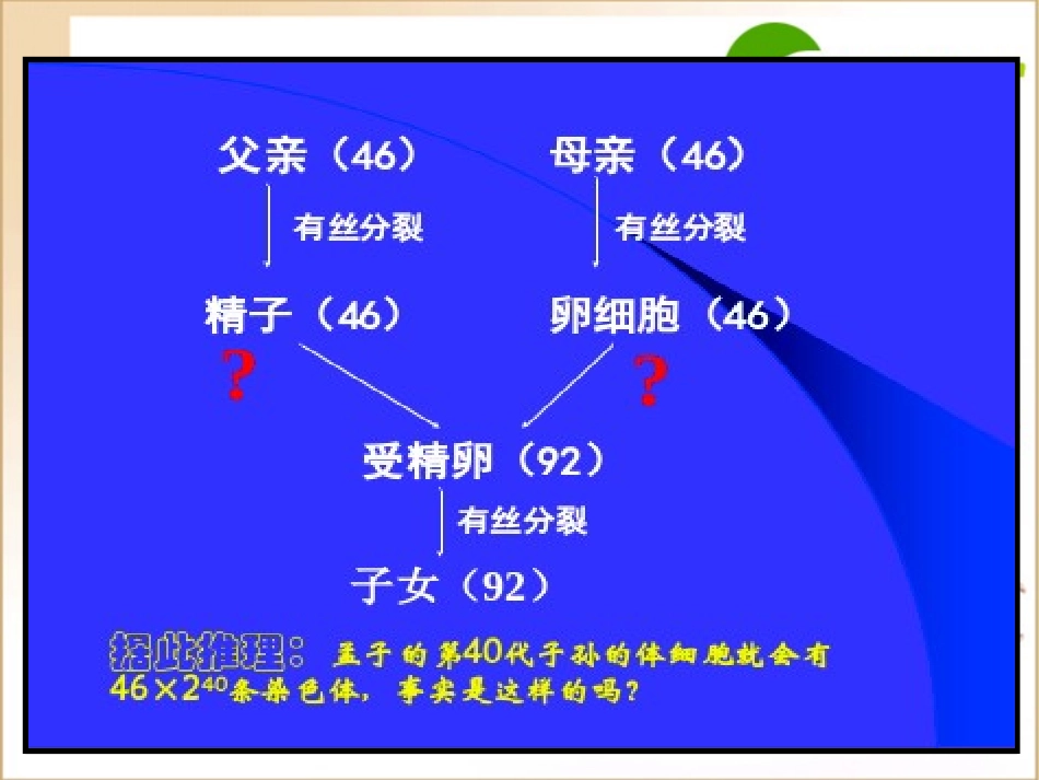 高一生物：第二章《减数分裂和有性生殖》课件(苏教版必修2)_第3页