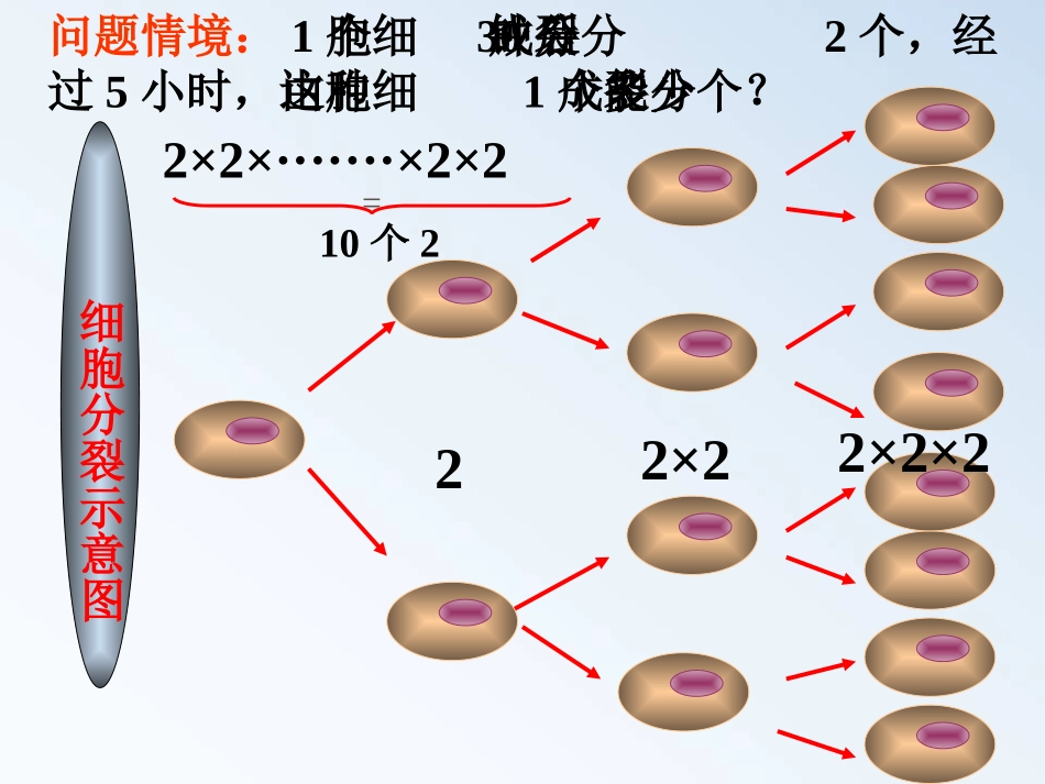 §-1.5.1-有理数的乘方运算_第3页