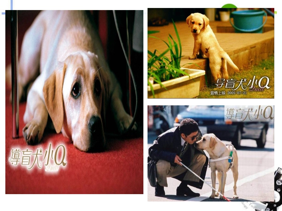 高中英语-Unit-1-Living-well(Workbook)课件(1)新人教版选修7-_第3页