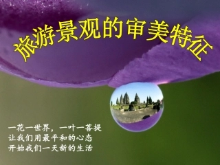 第一节旅游景观的审美特性-(13)