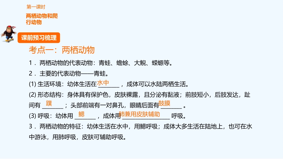 2016年中考生物复习课件-第十八章动物主要类群(二)_第3页