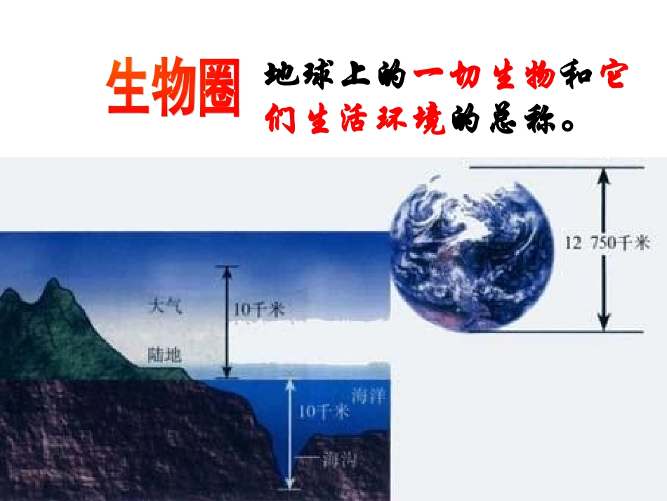 《第二节-绿色植物与生物圈的物质循环》课件3_第2页