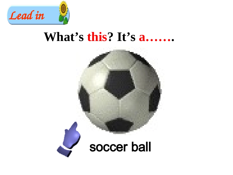 王兰-四川1号工作坊-课例-Do-you-have-a-soccer-ball_第1页
