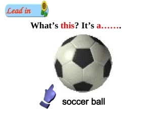 王兰-四川1号工作坊-课例-Do-you-have-a-soccer-ball