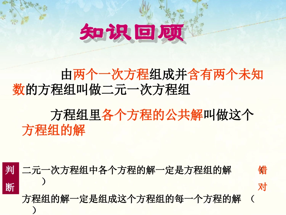 《消元——解二元一次方程组1》_第2页