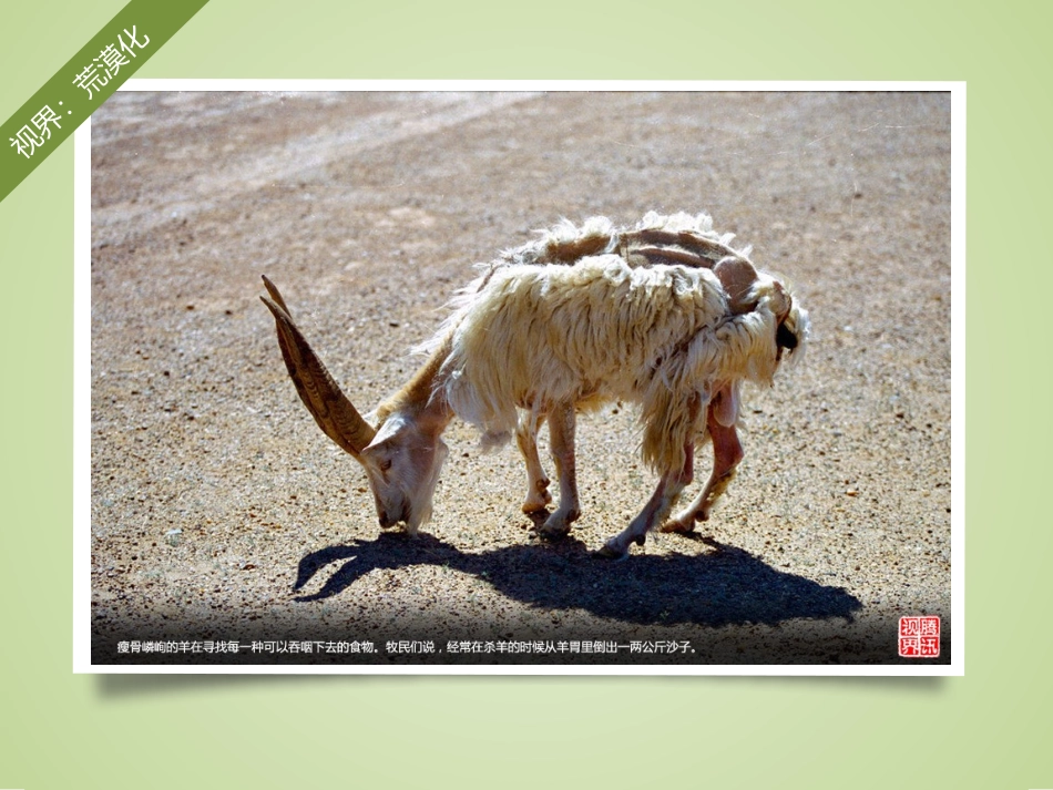 章节复习与测试-(2)_第1页