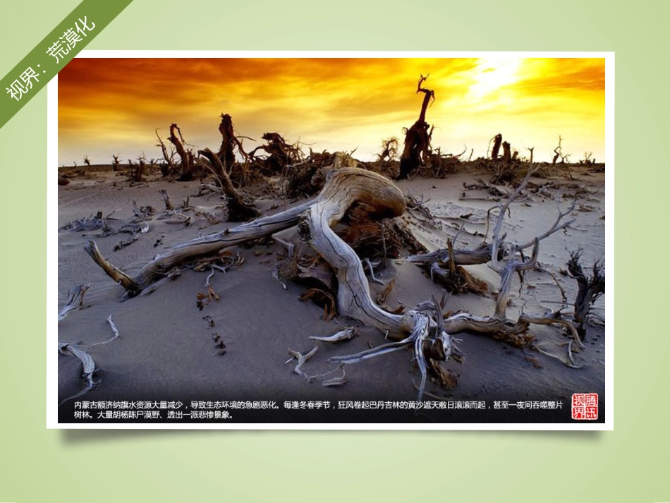 章节复习与测试-(2)_第3页