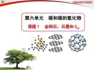 课题1-金刚石、石墨和C60