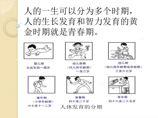 《第三节-青春期》-课件