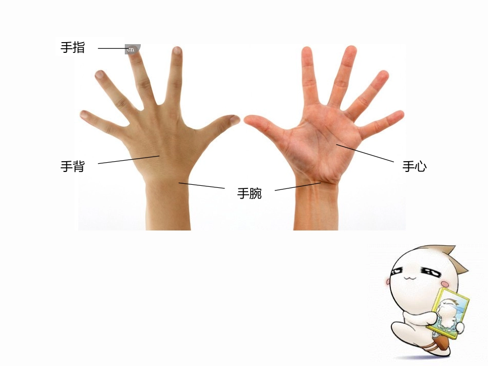 走进综合实践活动_第3页