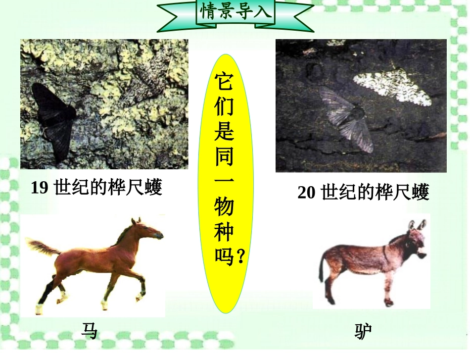 现代达尔文主义_第3页