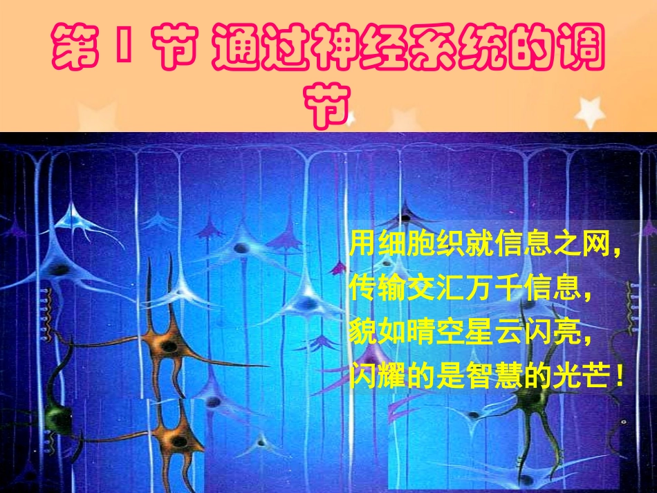 高中生物：2.1通过神经系统的调节课件人教版必修3_第1页