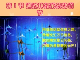 高中生物：2.1通过神经系统的调节课件人教版必修3
