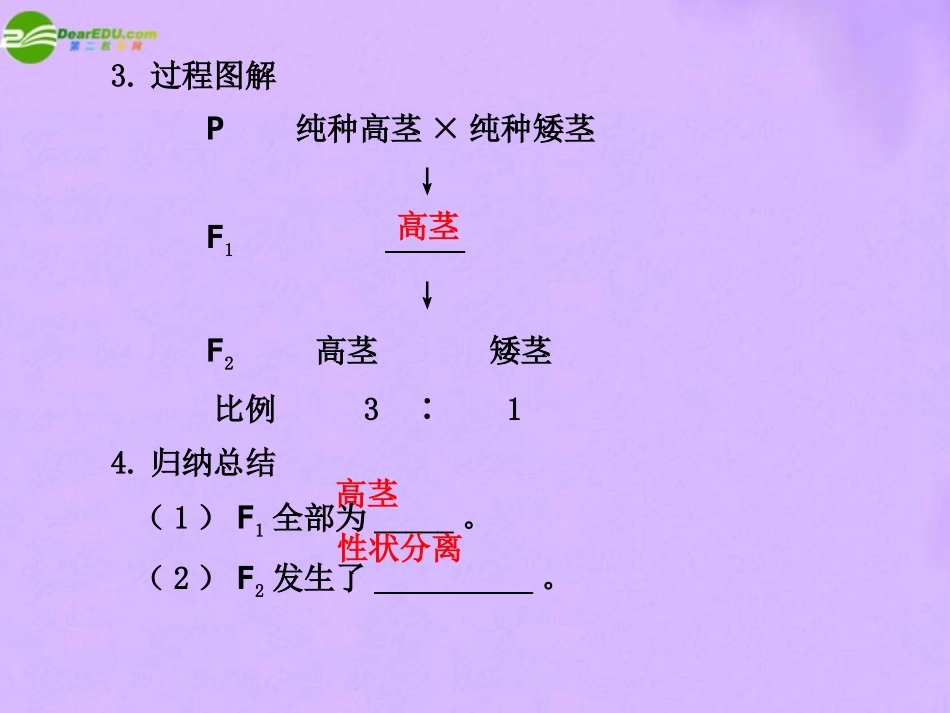 2011届高考生物-考点专题复习课件15_第3页