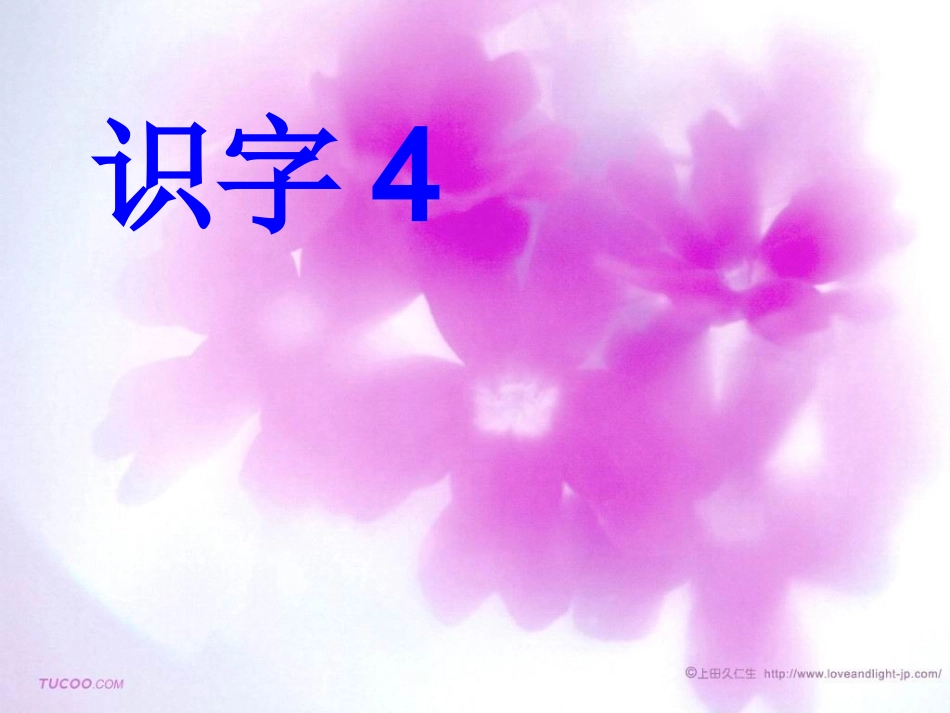 人教版一年级语文下册《识字4》课件PPT_第1页