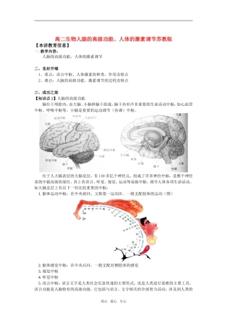 高中生物-人脑的高级功能、人体的激素调节知识精讲-苏教版必修3