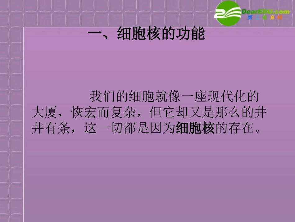 高中生物-3.3《细胞核──系统的控制中心》课件-新人教版必修1_第3页