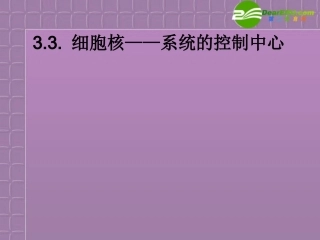 高中生物-3.3《细胞核──系统的控制中心》课件-新人教版必修1