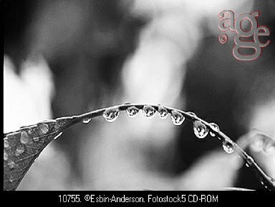 北师大版一年级下册雨铃铛PPT课件_第3页