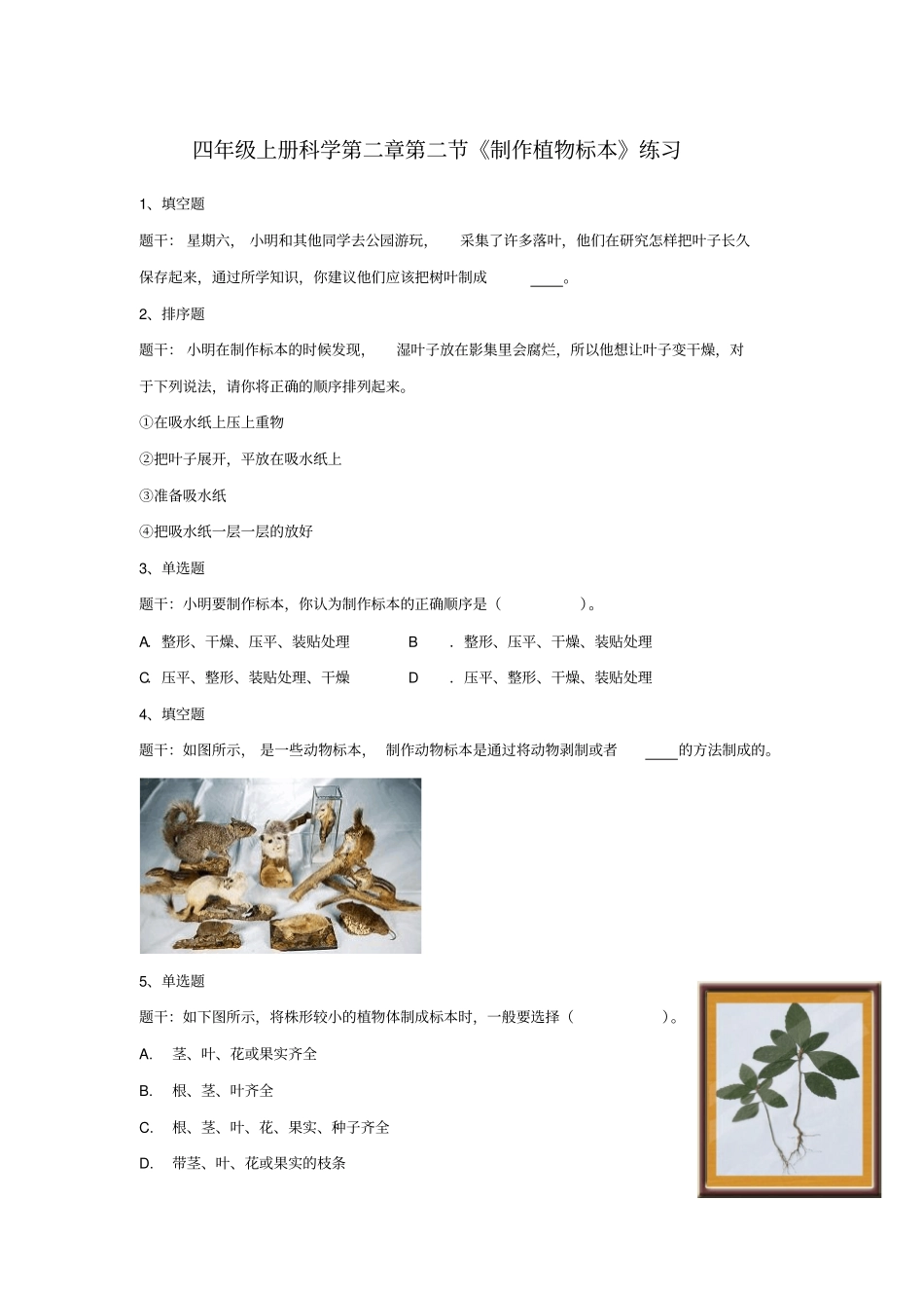 四年级上册科学试题-制作植物标本含答案人教版_第1页