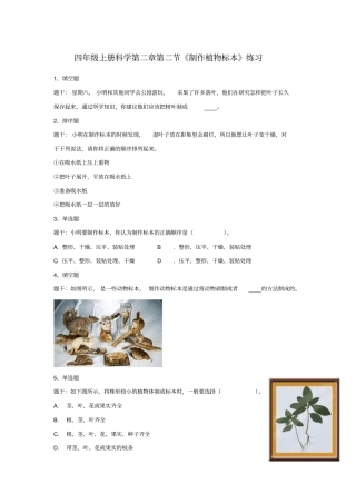 四年级上册科学试题-制作植物标本含答案人教版