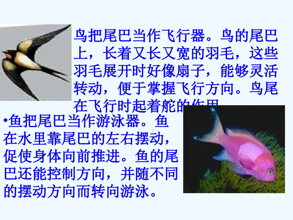 (部编)人教2011课标版一年级上册biweiba_第3页