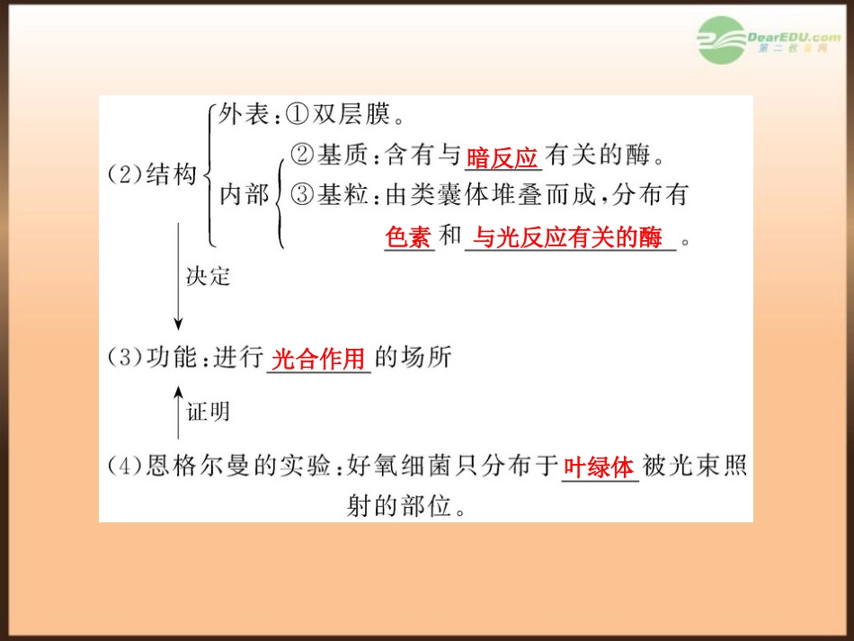 【全程复习方略】(江苏专用)2013版高中生物-5.4能量之源-光与光合作用配套课件-新人教版必修1_第3页