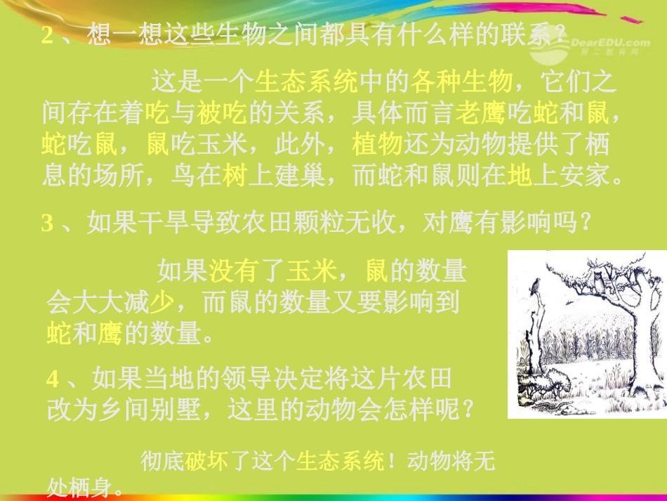 天津市葛沽三中七年级生物《第七章人类活动对生物圈的影响》课件-人教新课标版_第2页
