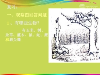 天津市葛沽三中七年级生物《第七章人类活动对生物圈的影响》课件-人教新课标版