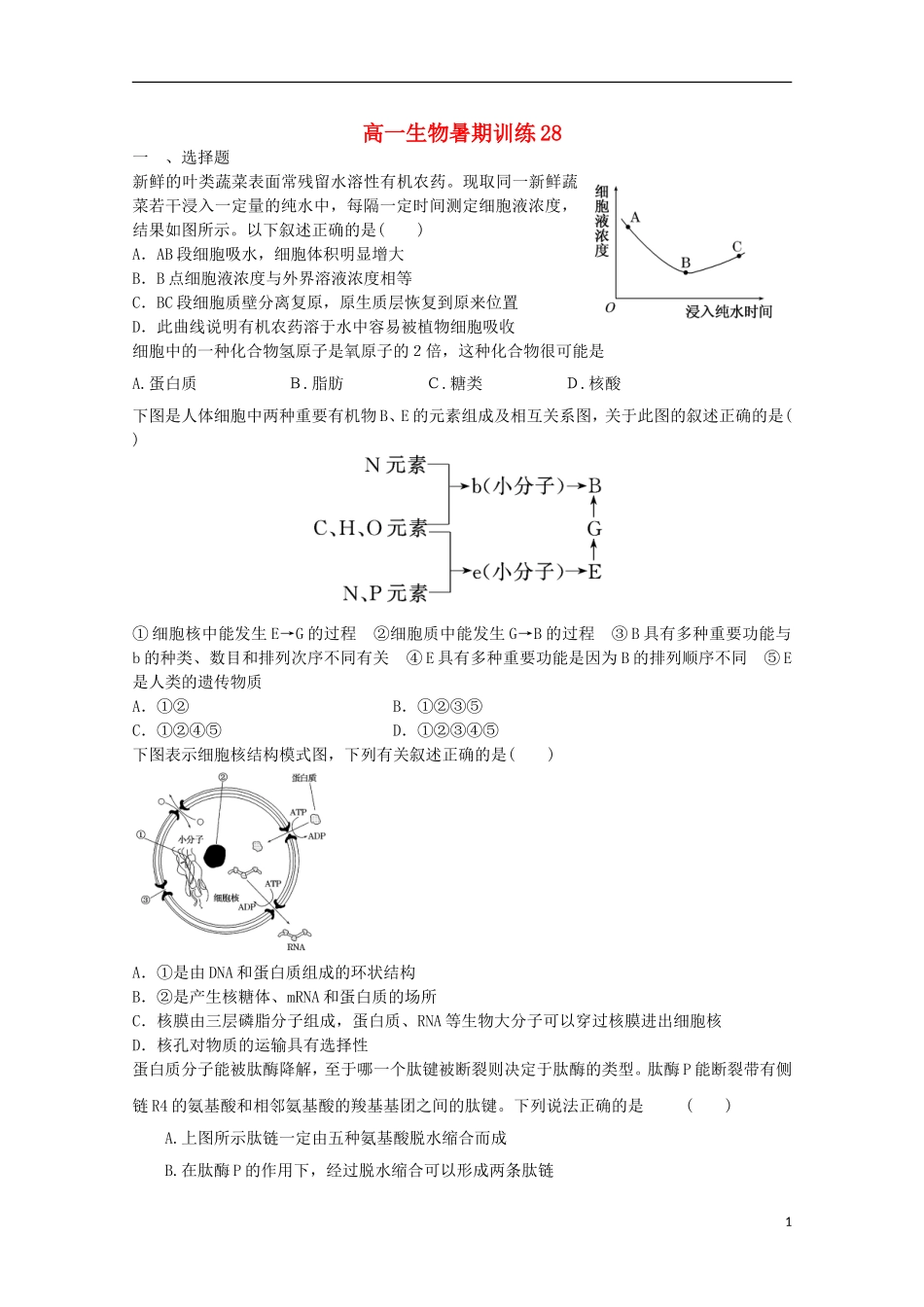 高一生物暑期训练28_第1页