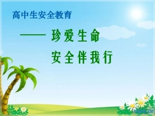 预防和应对意外道路交通伤害事故-(2)