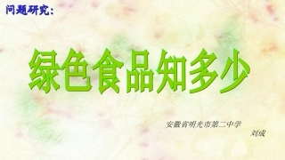 问题研究-绿色食品知多少-(3)