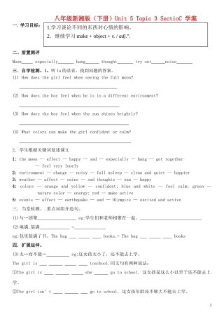 八年级英语下册-Unit-5-Feeling-happy-Topic-3-SectioC-学案(无答案)仁爱版
