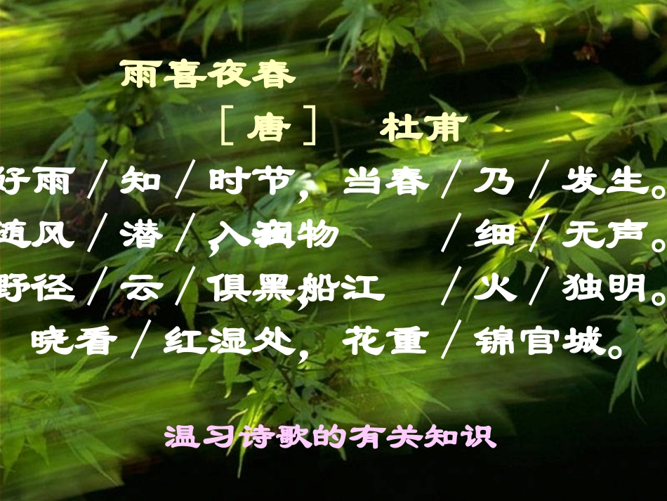 六年级语文下册-第6课《春之古韵》课件-上海版五四制_第2页