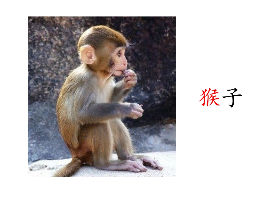18小猴子下山_第2页
