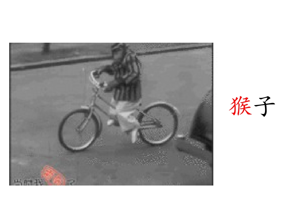 18小猴子下山_第3页