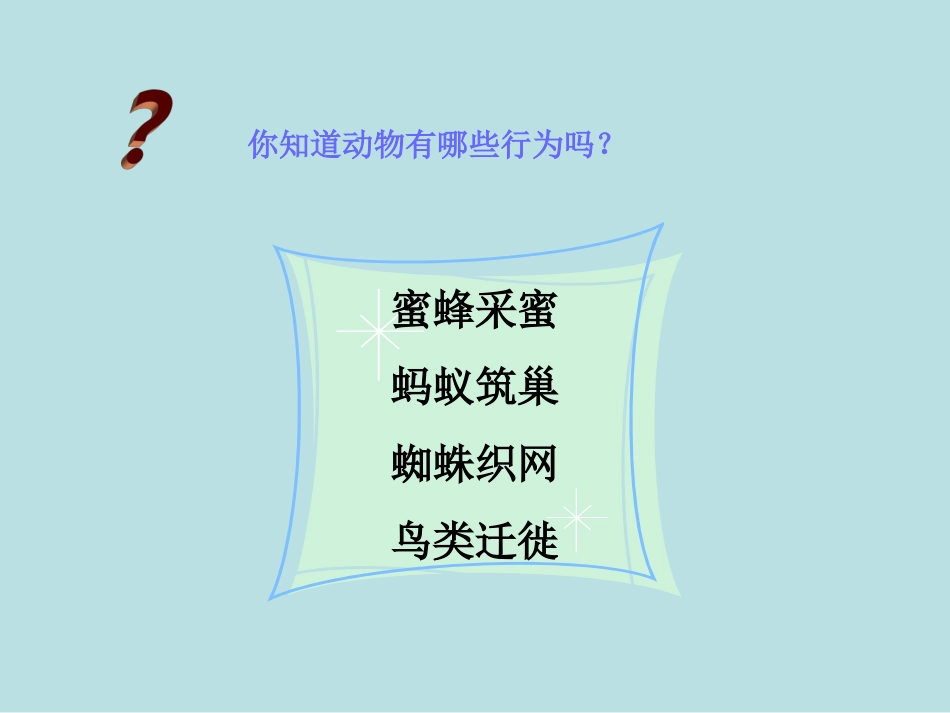 《第二节-动物行为的生理基础》课件5_第2页