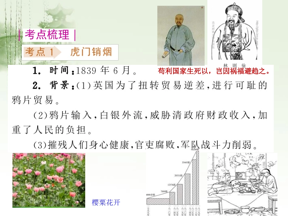 2012届中考历史历史考点、知识点大总结课件12_第2页