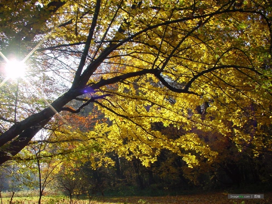 三、光的直线传播_第3页