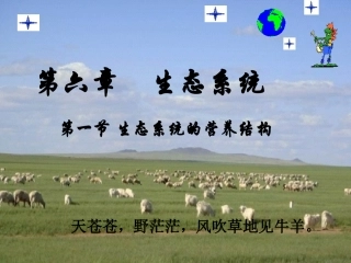 高中生物第一节-生态系统的营养结构课件浙教版必修3