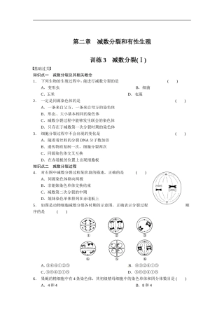 《减数分裂(Ⅰ)》同步练习1