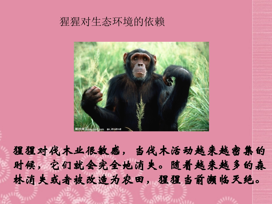 七年级生物下册-第四单元-第七章《人类活动对生物圈的影响》第一节《分析人类活动对生态环境的影响》课件-_第2页