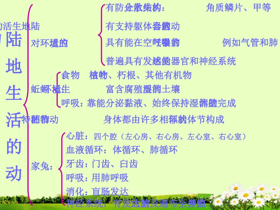 吉林省油田第二中学八年级生物期末复习课件_第2页