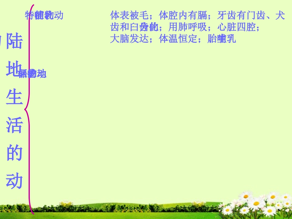 吉林省油田第二中学八年级生物期末复习课件_第3页