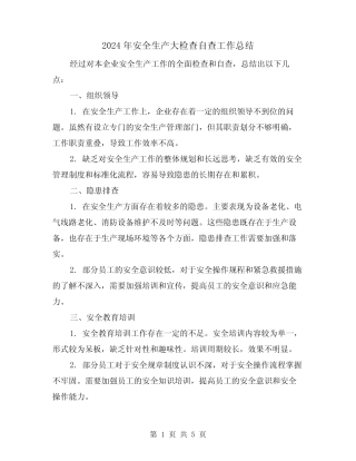2024年安全生产大检查自查工作总结(二篇)